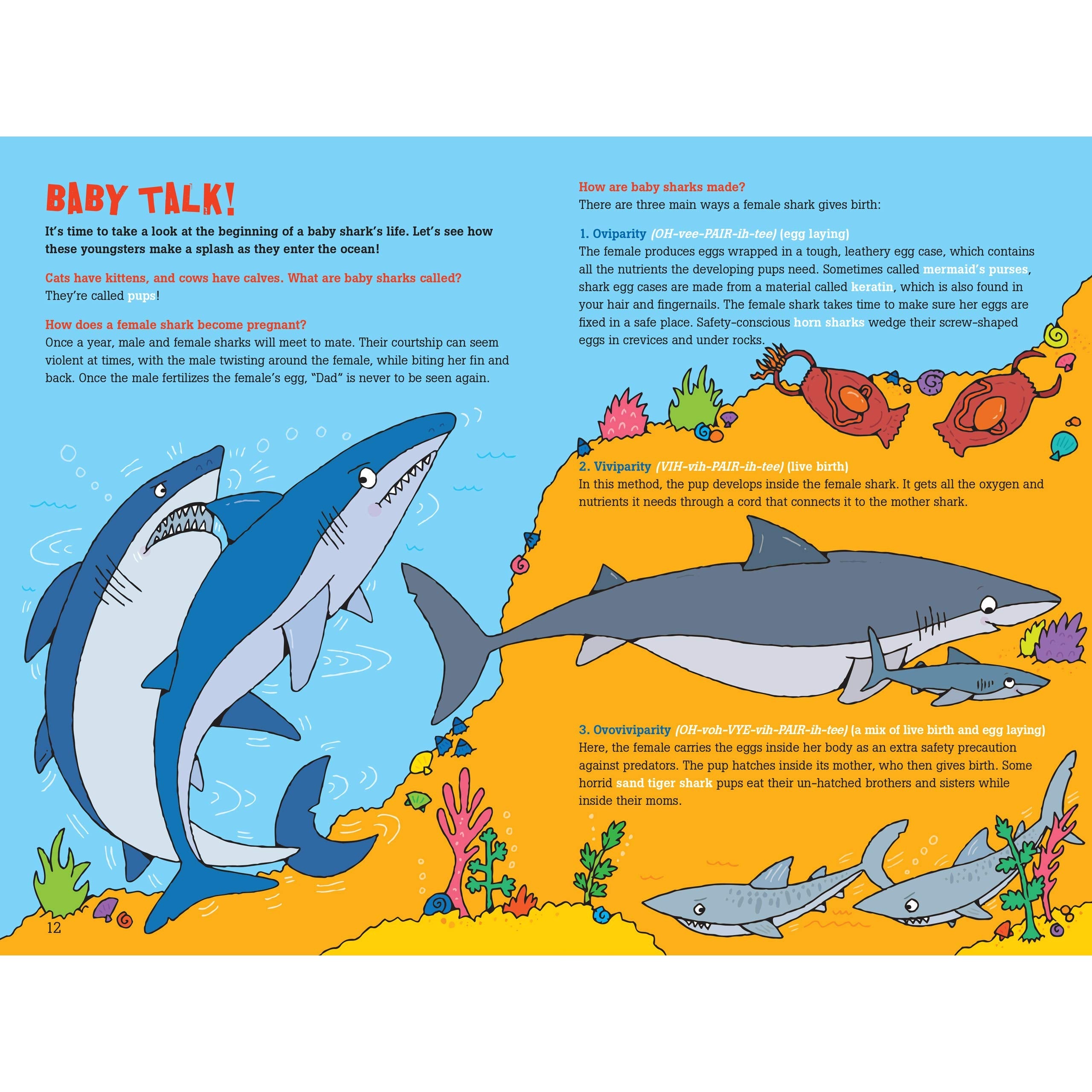 Peter Pauper Press: 100 Questions About Sharks (Hardcover Book)-Peter Pauper Press-Little Giant Kidz