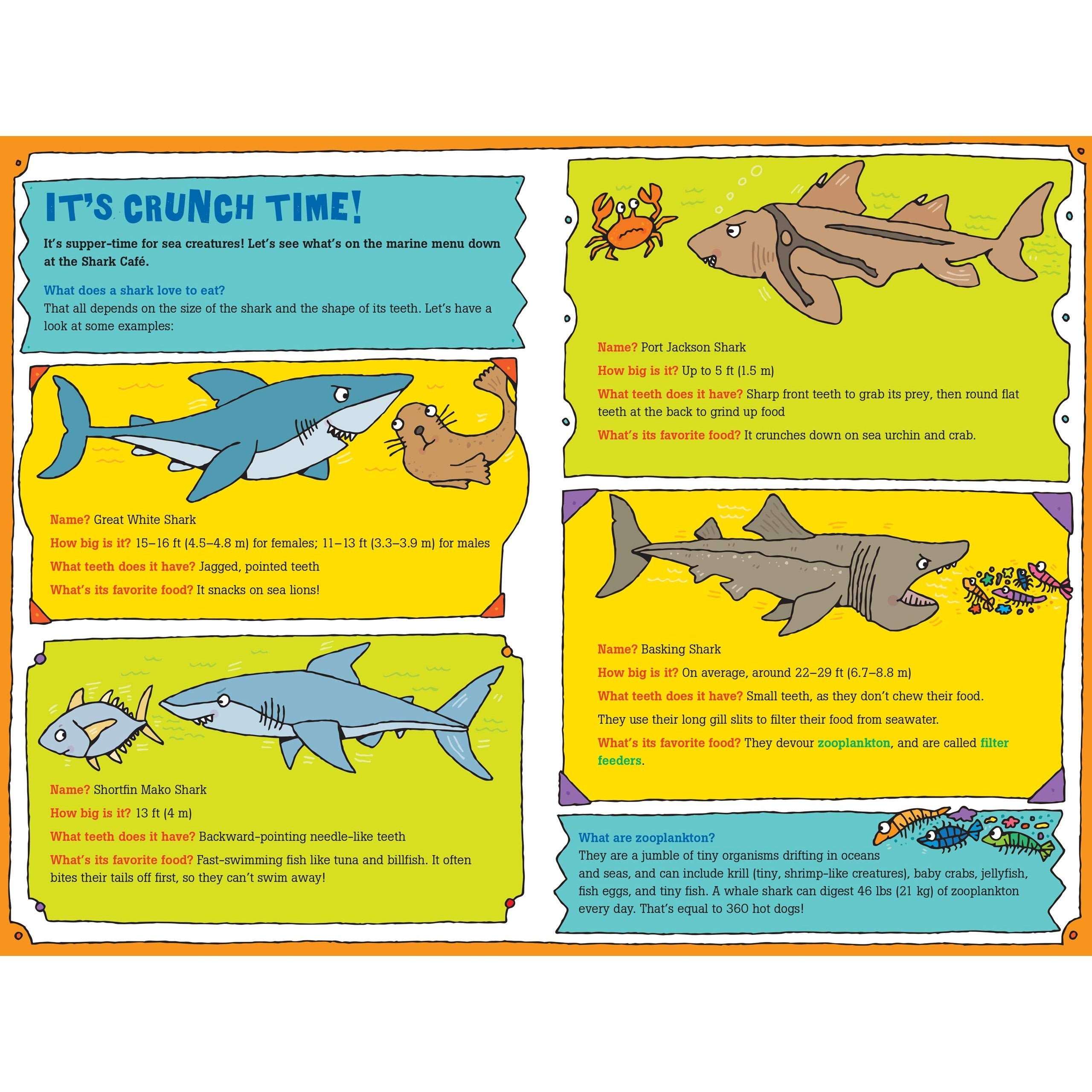Peter Pauper Press: 100 Questions About Sharks (Hardcover Book)-Peter Pauper Press-Little Giant Kidz