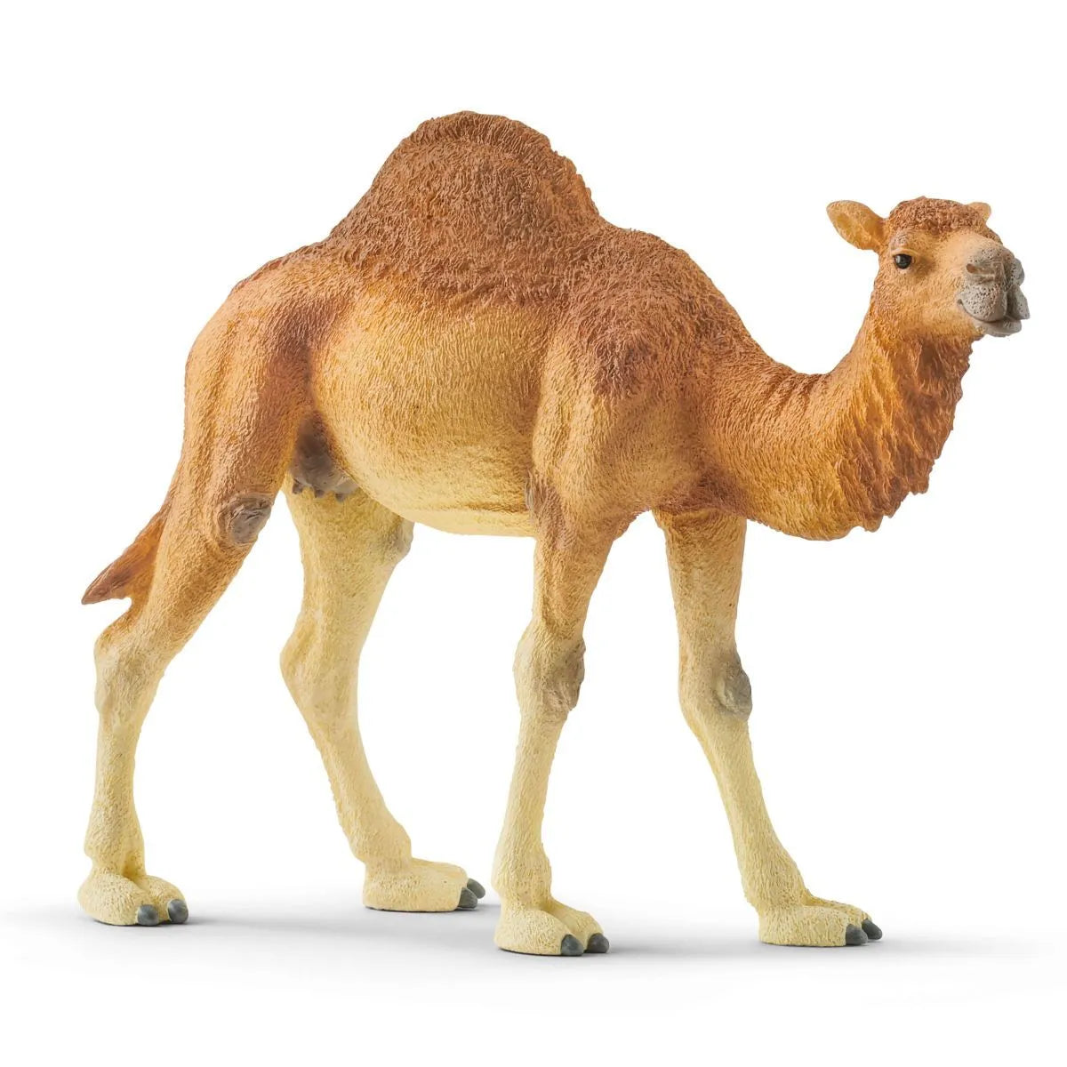 Schleich Dromedary-SCHLEICH-Little Giant Kidz
