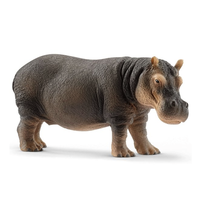 Schleich Hippopotamus-SCHLEICH-Little Giant Kidz