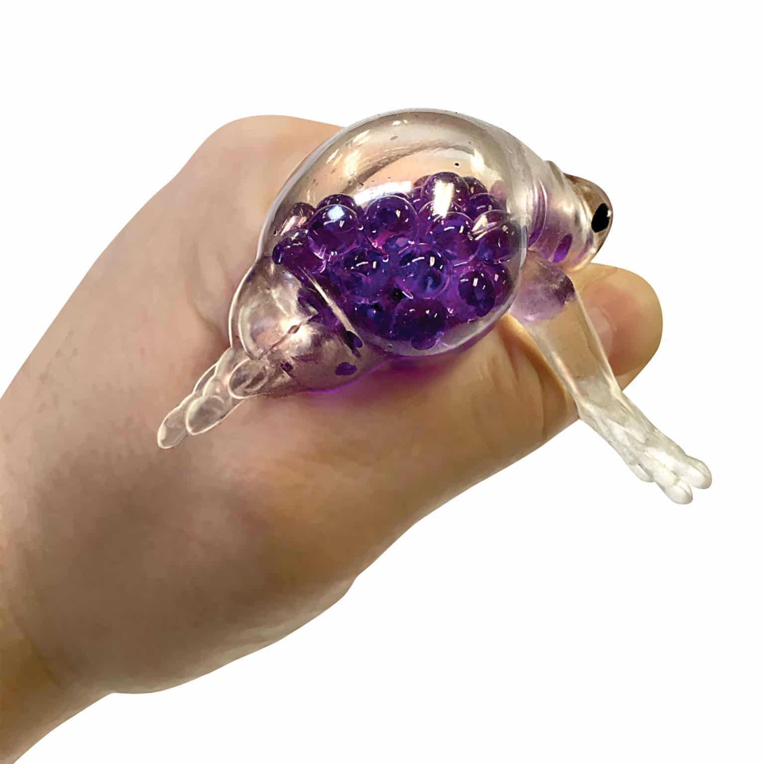 Schylling Squish the Frog - Assorted Color-SCHYLLING-Little Giant Kidz