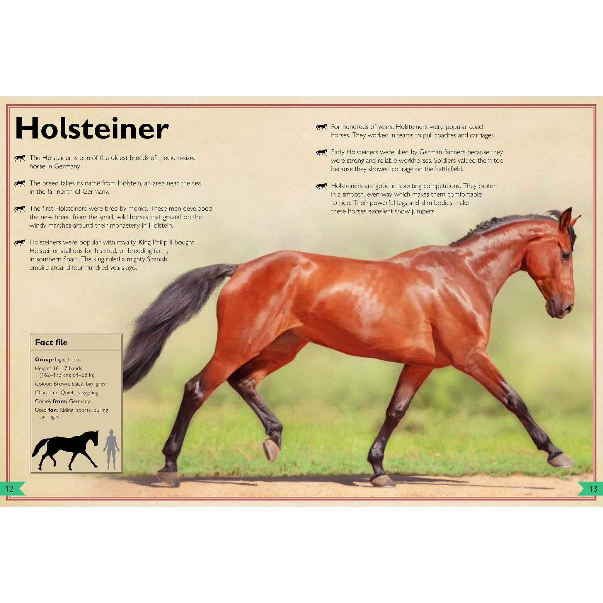 Simon & Schuster: The Magnificent Book of Horses (Hardcover Book)-SIMON & SCHUSTER-Little Giant Kidz