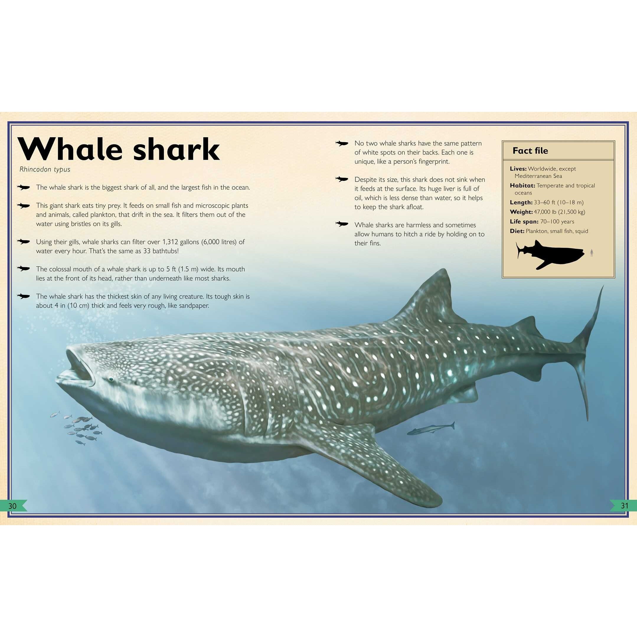 Simon & Schuster: The Magnificent Book of Sharks (Hardcover Book)-SIMON & SCHUSTER-Little Giant Kidz