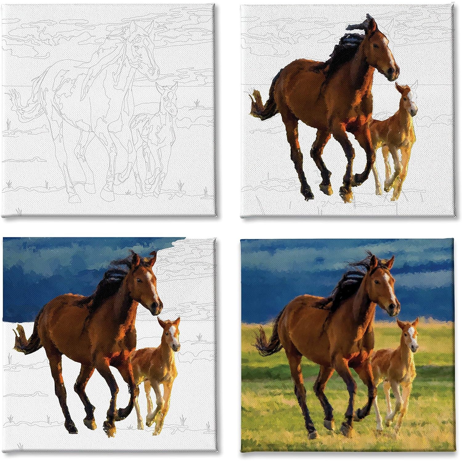 Anker Play Studio Sensations Paint-In Canvas - Horses-Anker Play Products-Little Giant Kidz