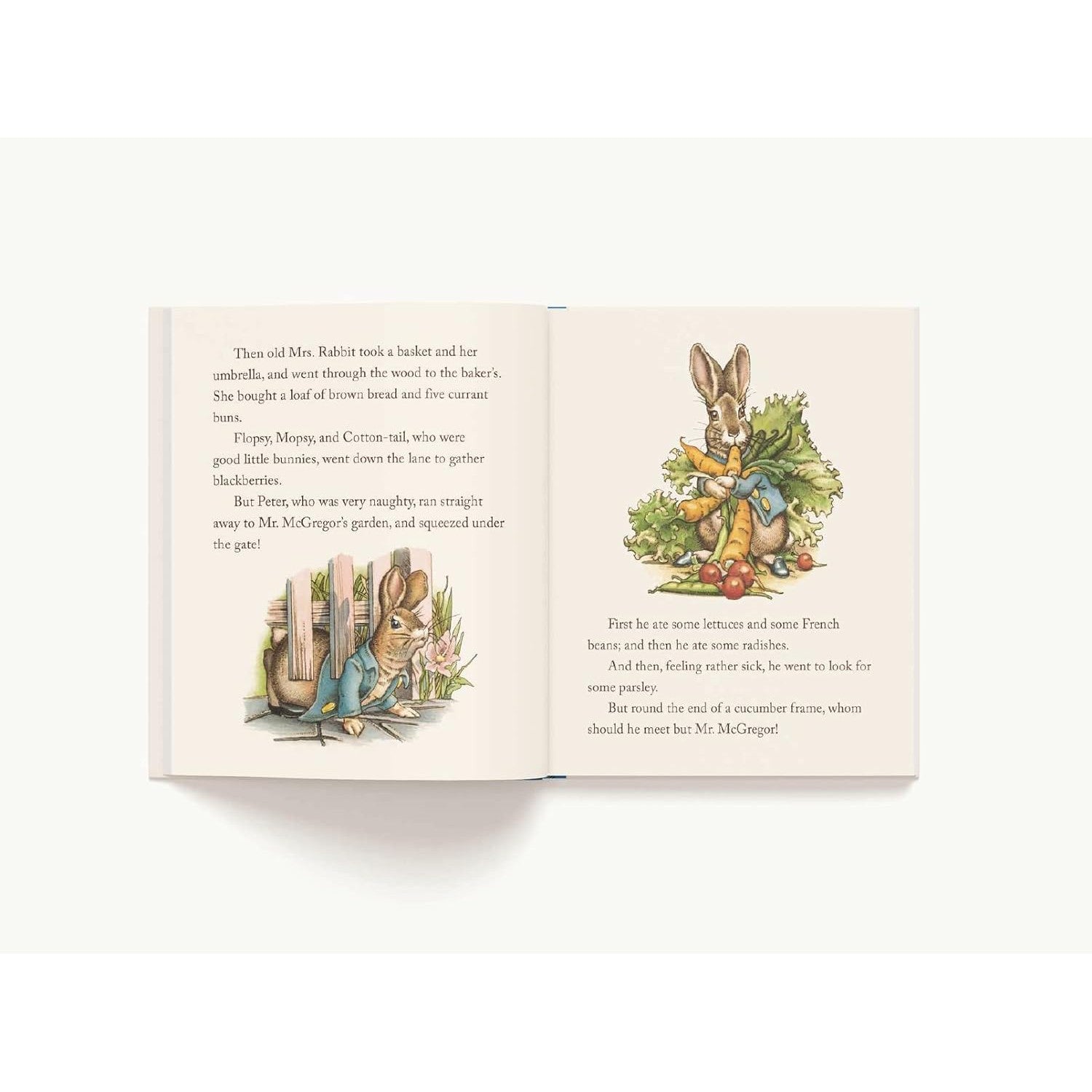 Applesauce Press: The Classic Tale of Peter Rabbit-HARPER COLLINS PUBLISHERS-Little Giant Kidz