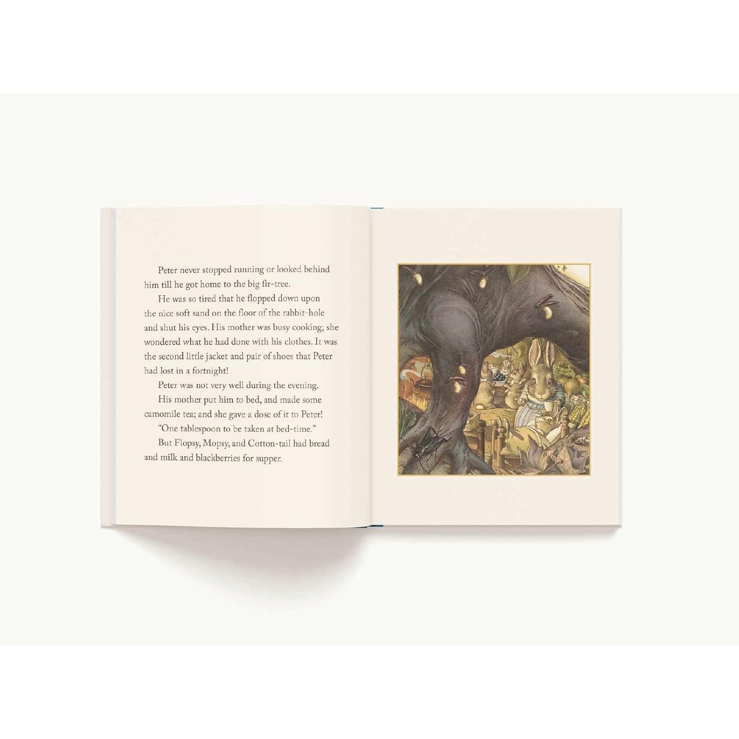 Applesauce Press: The Classic Tale of Peter Rabbit-HARPER COLLINS PUBLISHERS-Little Giant Kidz