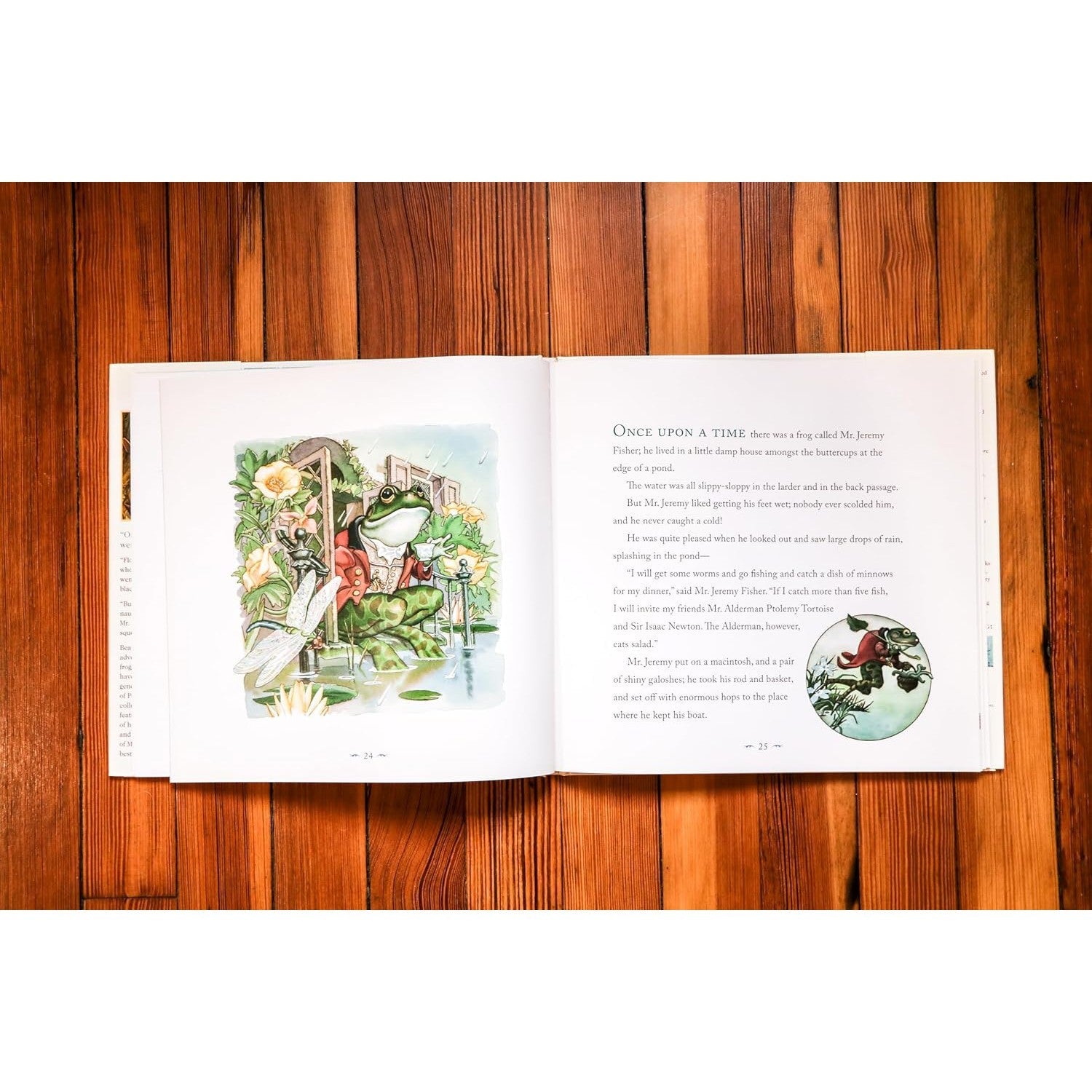 Applesauce Press: The Classic Tale of Peter Rabbit Hardcover: The Classic Edition-HARPER COLLINS PUBLISHERS-Little Giant Kidz