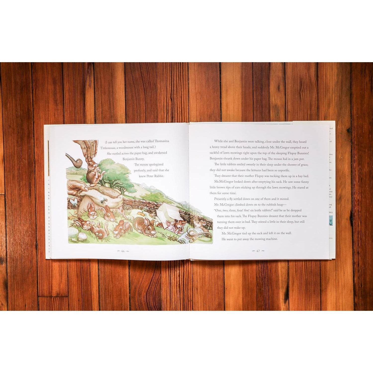 Applesauce Press: The Classic Tale of Peter Rabbit Hardcover: The Classic Edition-HARPER COLLINS PUBLISHERS-Little Giant Kidz