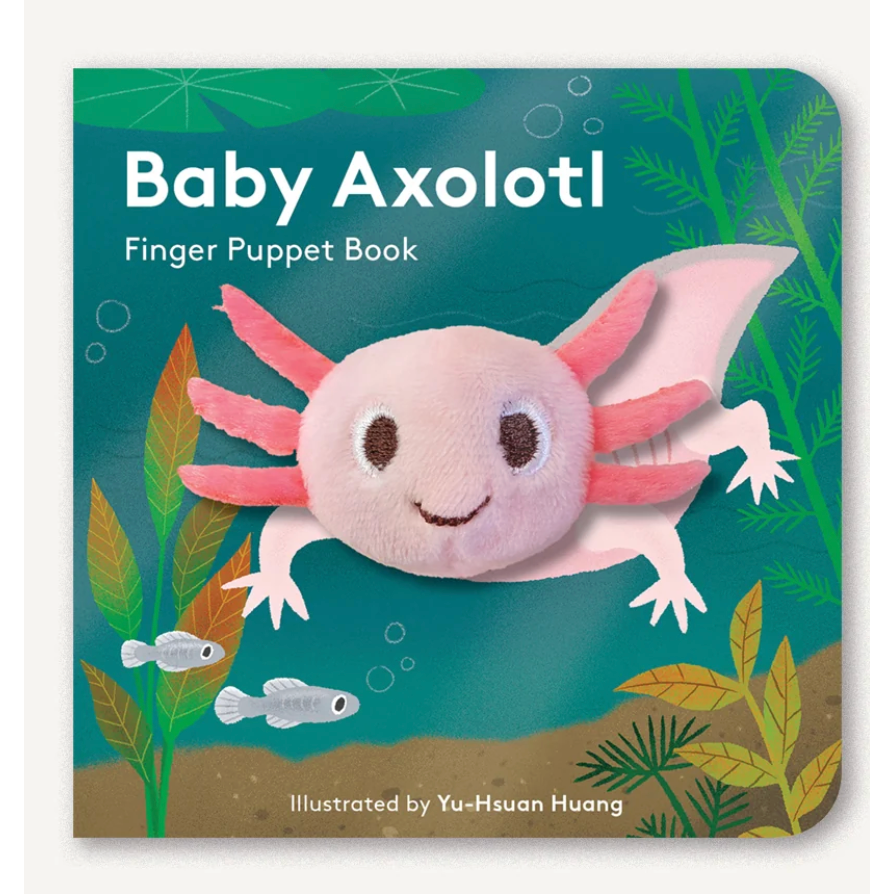 Baby Axolotl-Huang-Little Giant Kidz