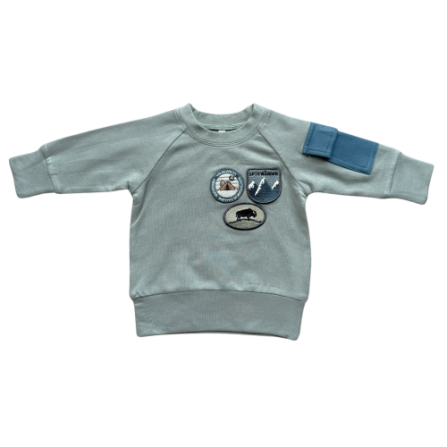 Baby Sprouts Boys Raglan Sweatshirt- Patches-Baby Sprouts-Little Giant Kidz