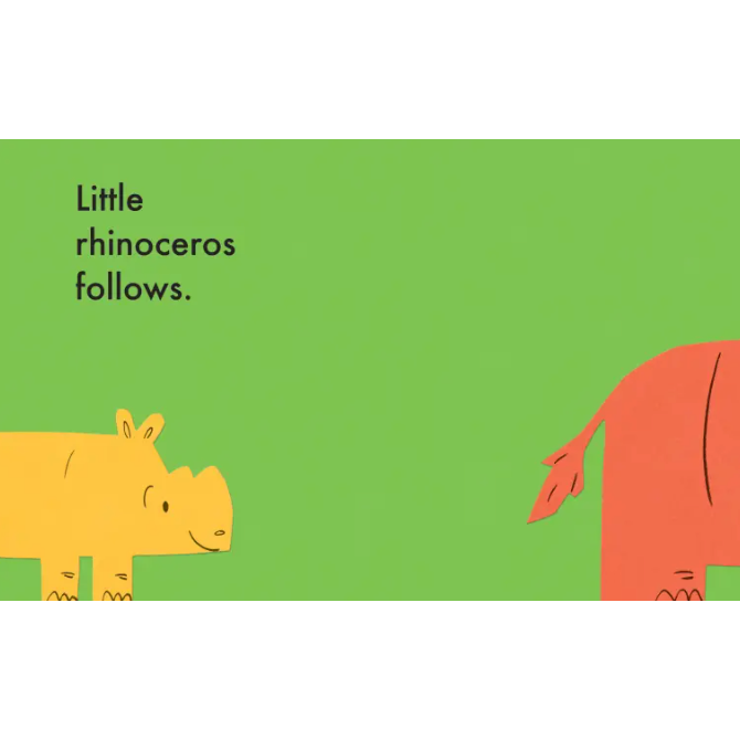 Big Rhinoceros, Little Rhinoceros- Hardcover-HACHETTE BOOK GROUP USA-Little Giant Kidz