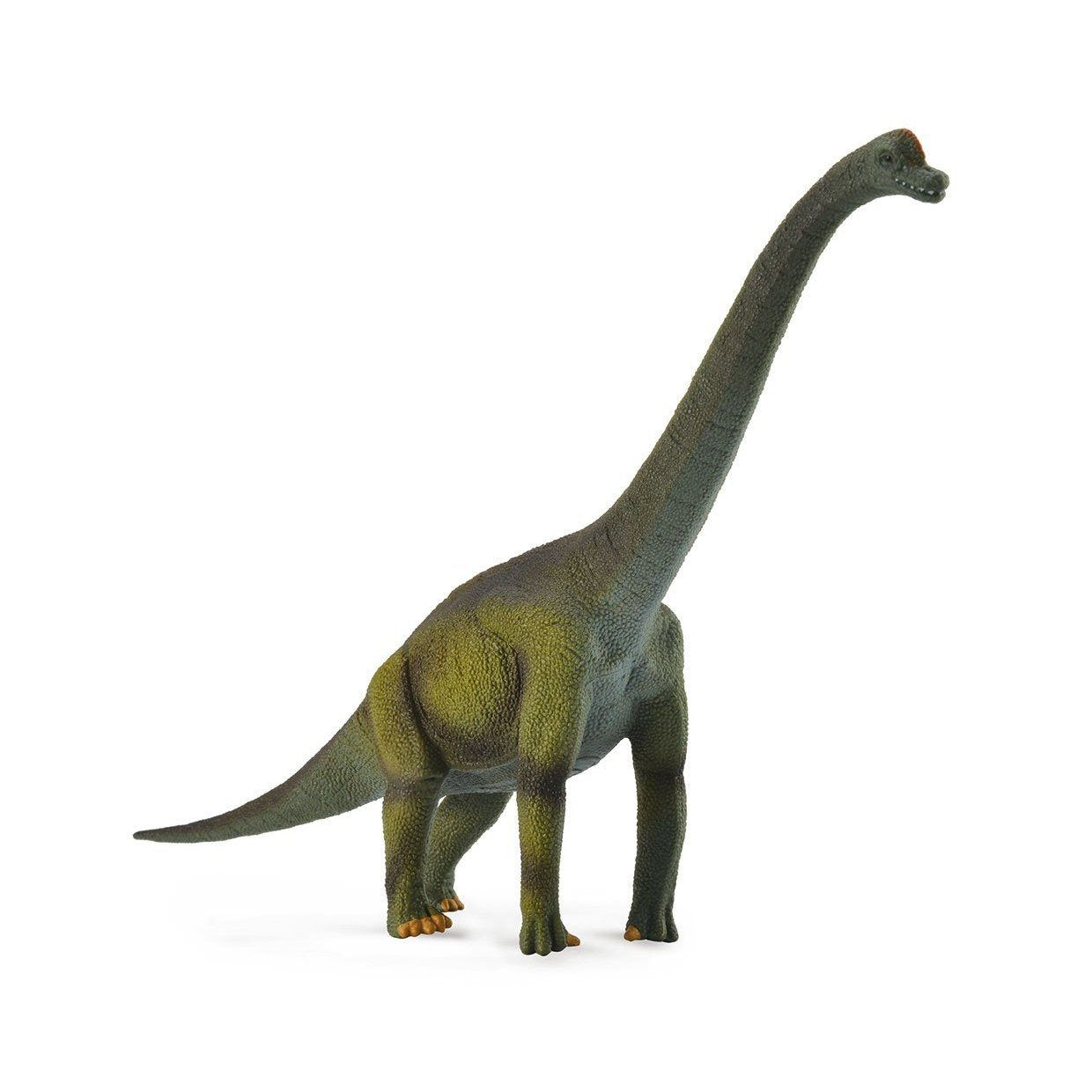 Breyer by CollectA Brachiosaurus-BREYER-Little Giant Kidz