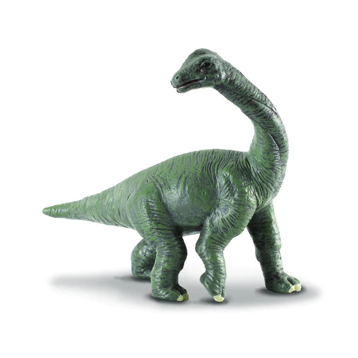 Breyer by CollectA Brachiosaurus Baby-BREYER-Little Giant Kidz