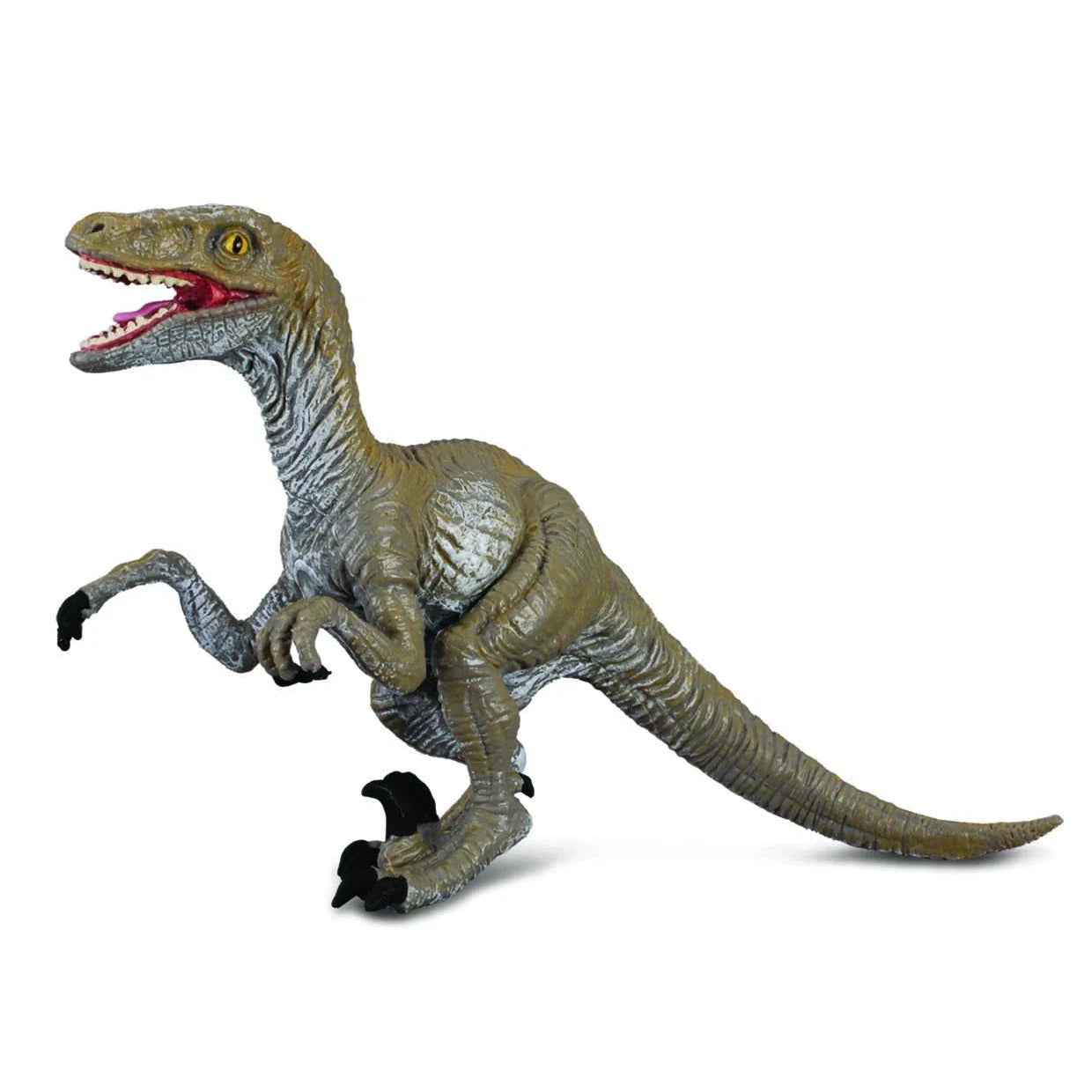 Breyer by CollectA Velociraptor-BREYER-Little Giant Kidz