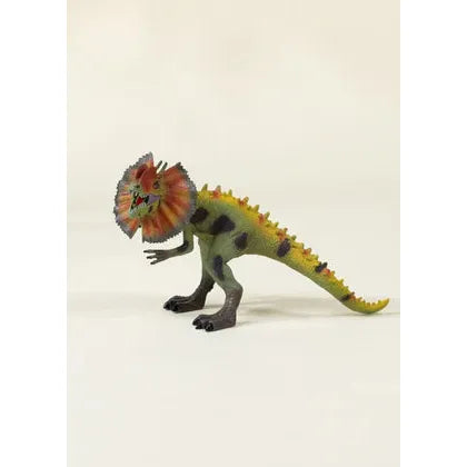 Coco Village Dilophosaurus Dionosaur- Collectible Box-Coco Village-Little Giant Kidz