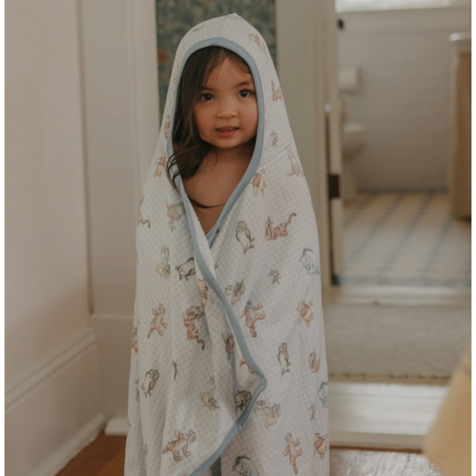 Copper Pearl Winnie the Pooh & Friends Premium Knit Hooded Towel-COPPER PEARL-Little Giant Kidz