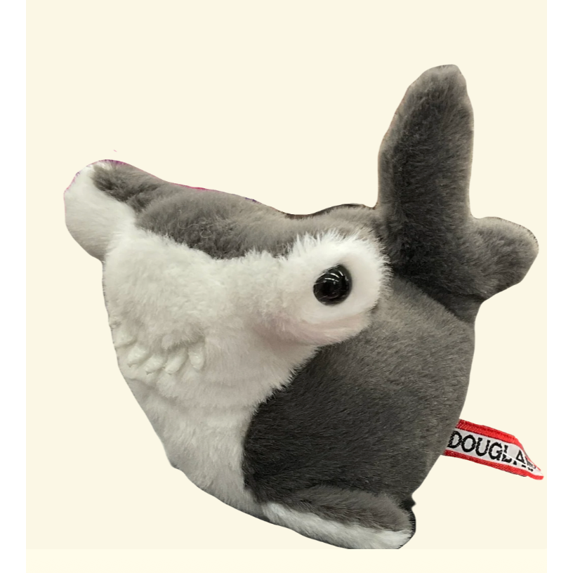DOUGLAS Lil' Baby Hammerhead Shark-DOUGLAS-Little Giant Kidz
