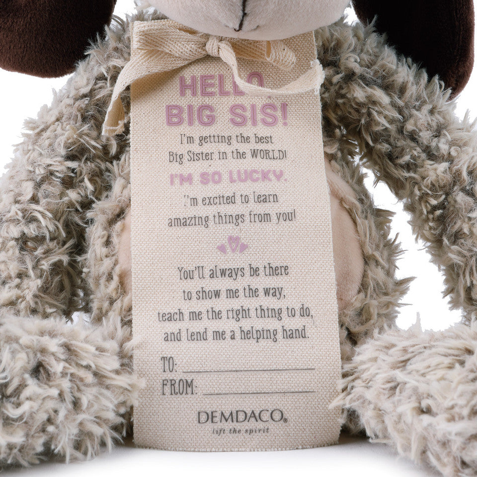 Demdaco Gift from the New Kid: Big Sister Plush Puppy-DEMDACO-Little Giant Kidz