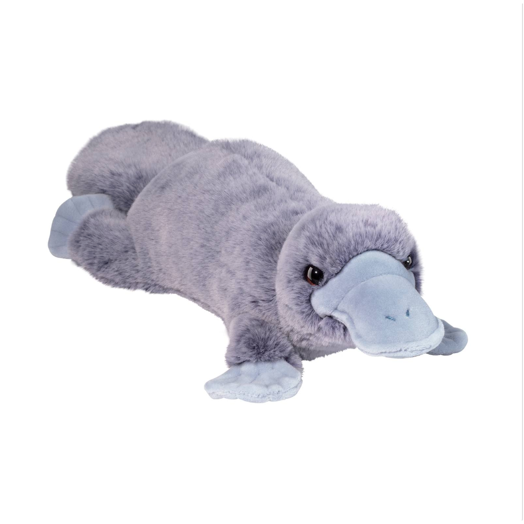 Douglas Allie Platypus-DOUGLAS-Little Giant Kidz