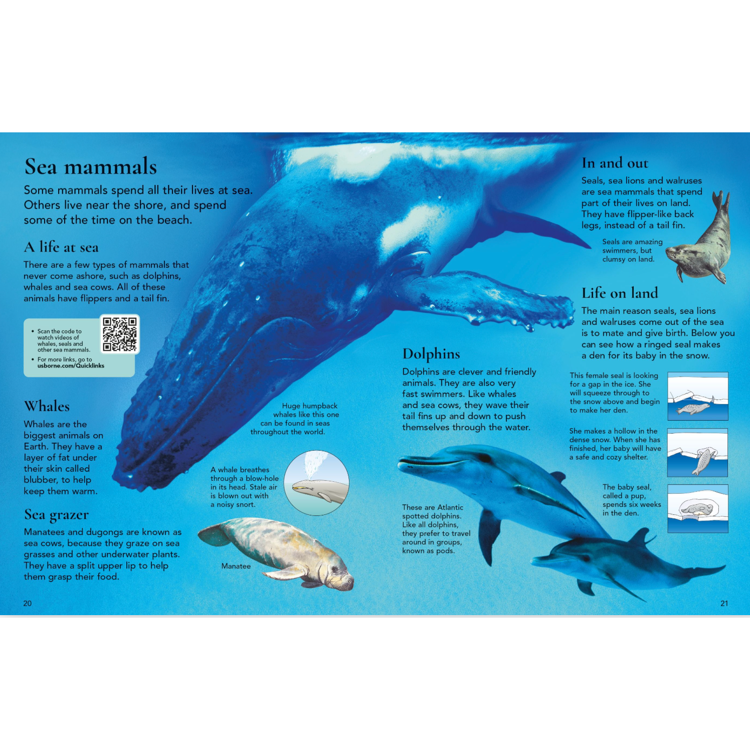 First Encyclopedia of Animals-HARPER COLLINS PUBLISHERS-Little Giant Kidz