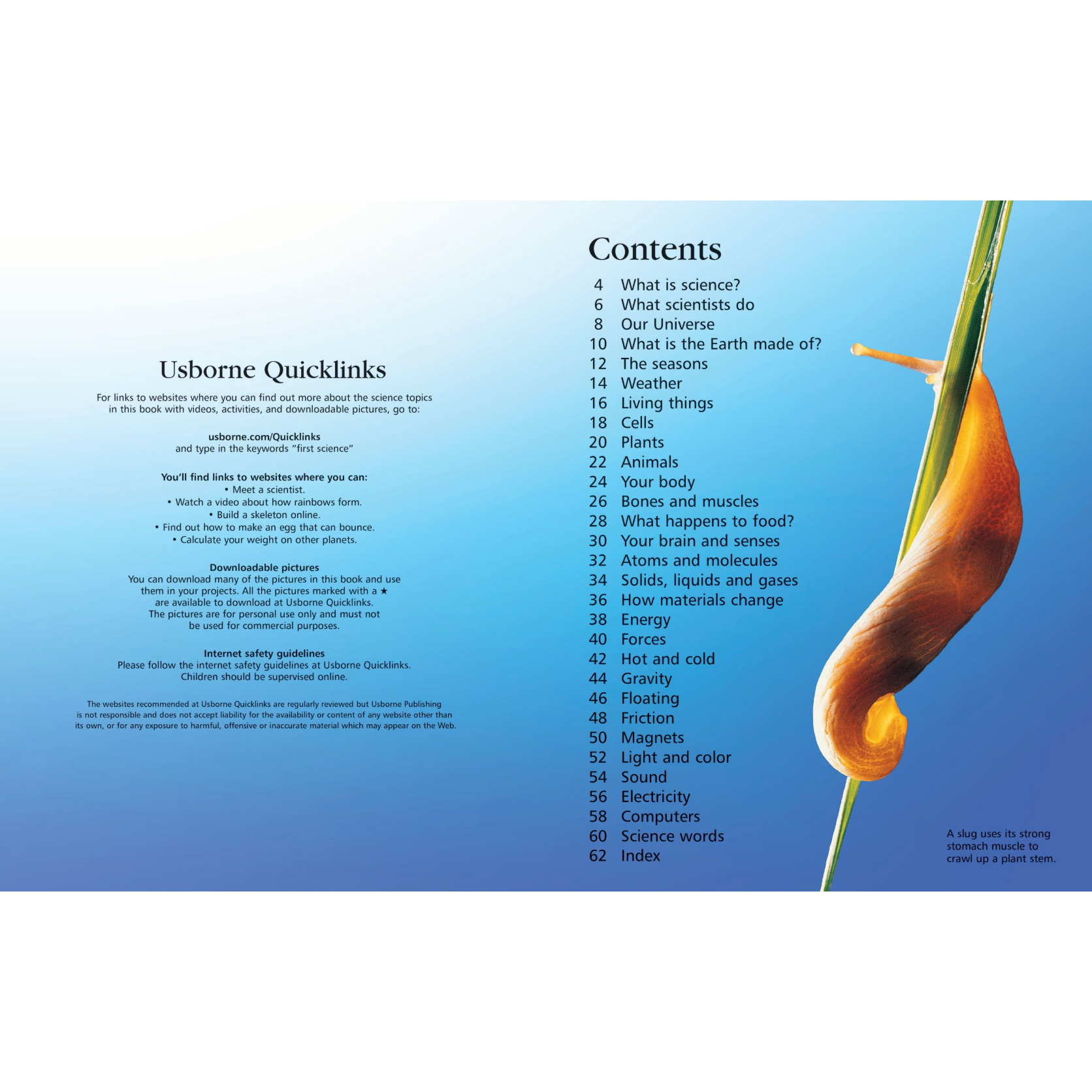First Encyclopedia of Science-HARPER COLLINS PUBLISHERS-Little Giant Kidz