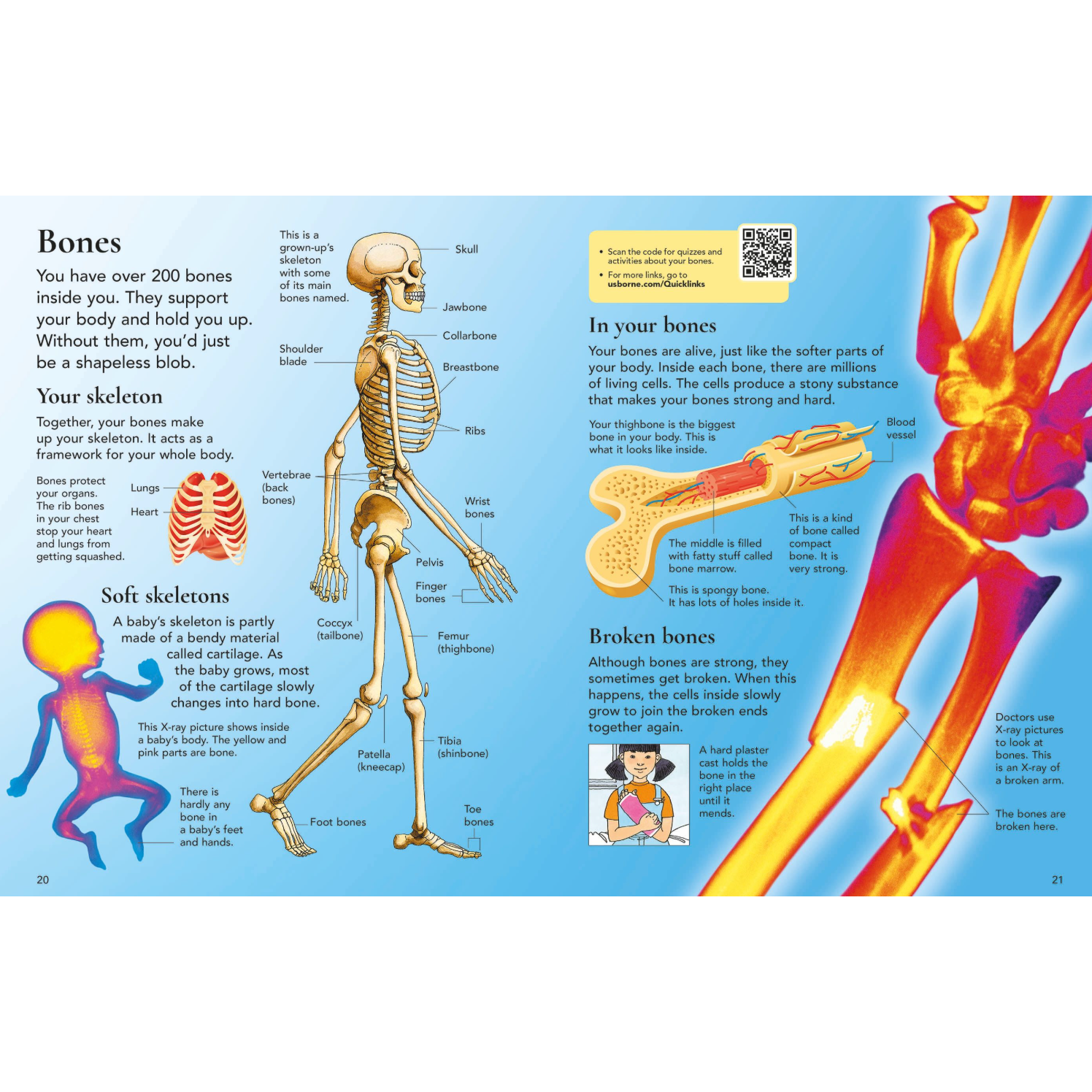 First Encyclopedia of the Human Body-HARPER COLLINS PUBLISHERS-Little Giant Kidz