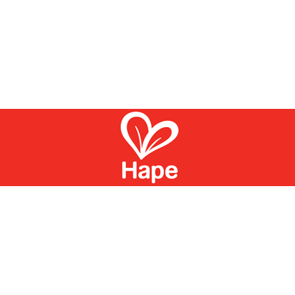 Hape Scoop & Serve Ice Cream Set-HAPE-Little Giant Kidz