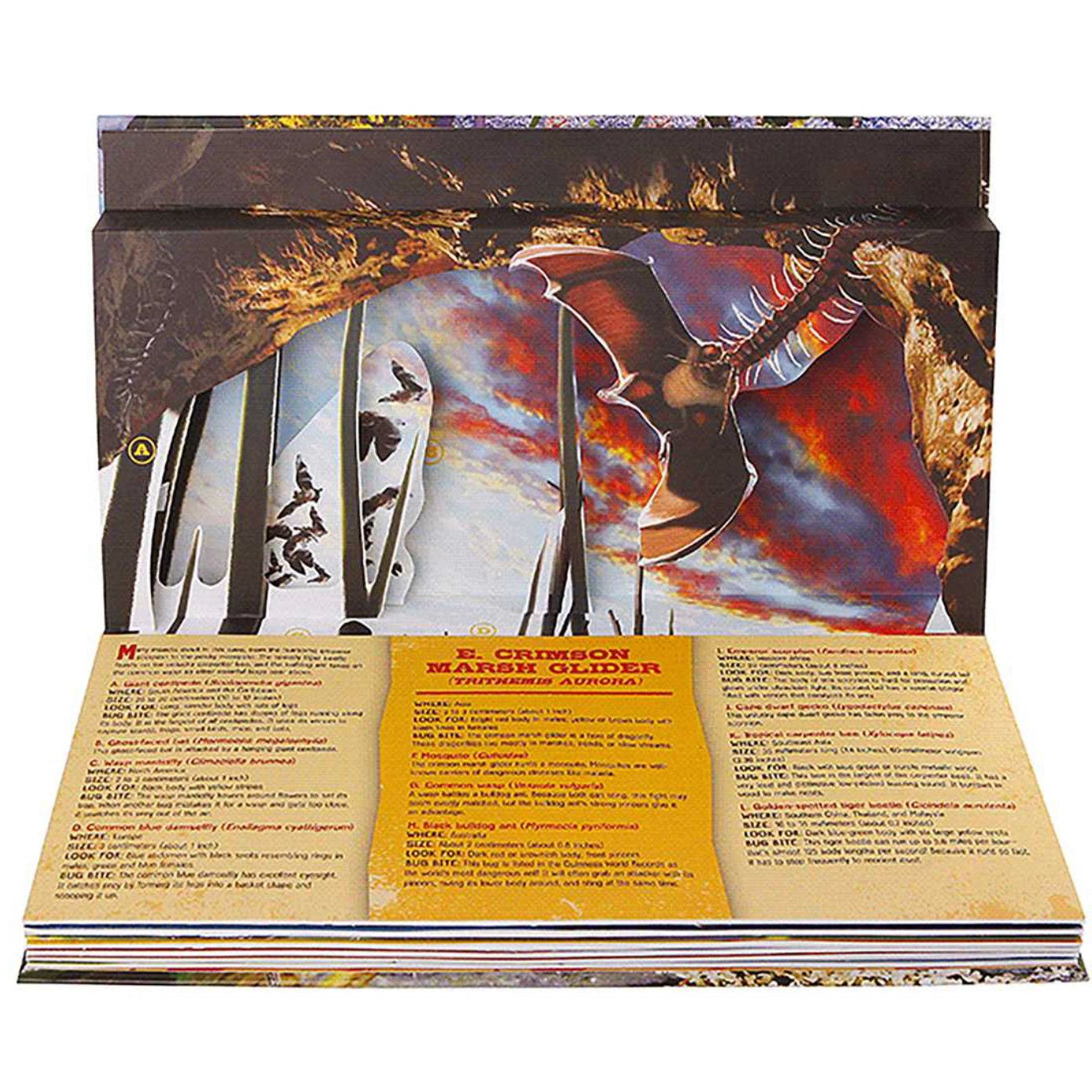 Harper Collins: Bug World A 3-D Pop Up Book-HARPER COLLINS PUBLISHERS-Little Giant Kidz