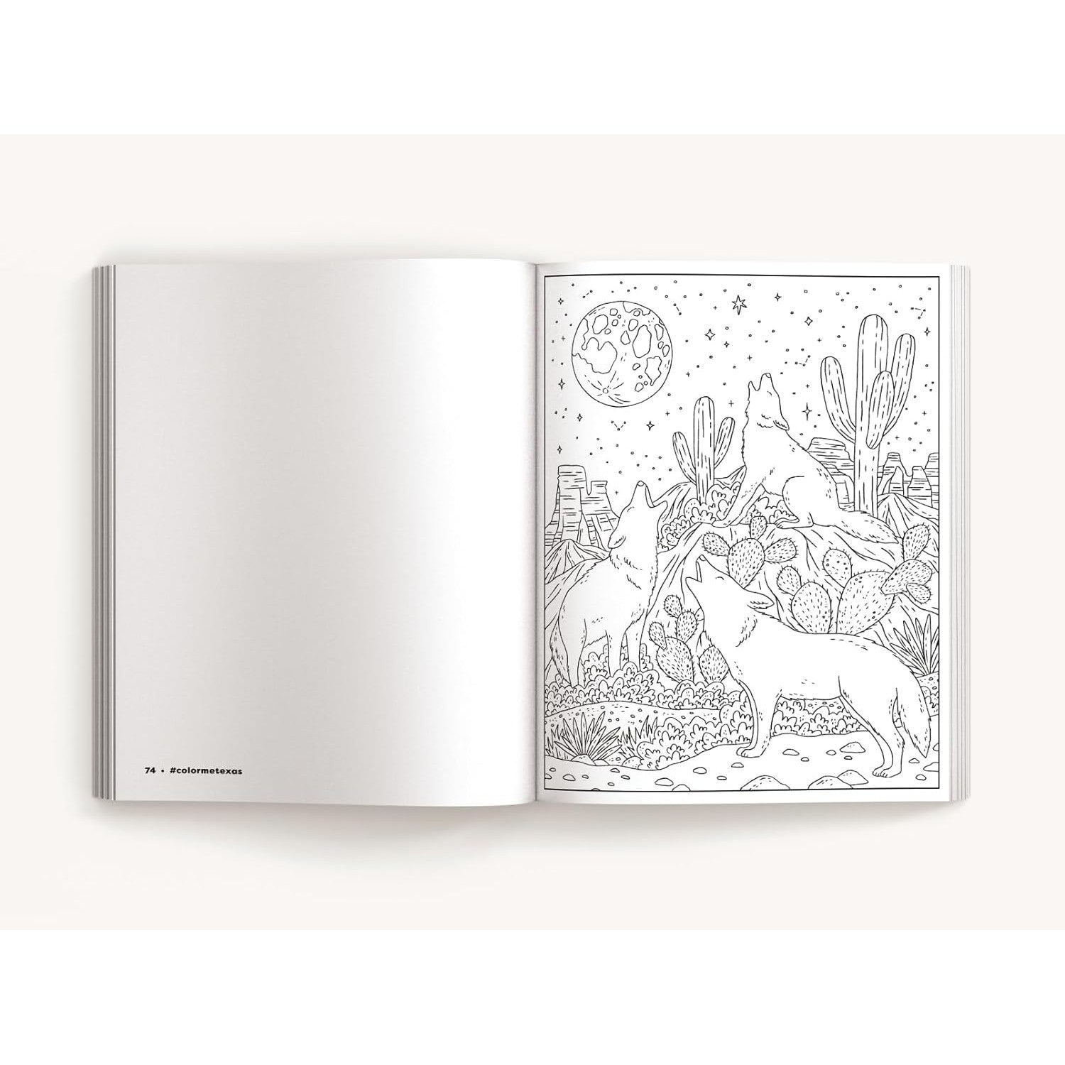 Harper Collins: Color Me Texas: A Lone Star State Coloring Book-HARPER COLLINS PUBLISHERS-Little Giant Kidz