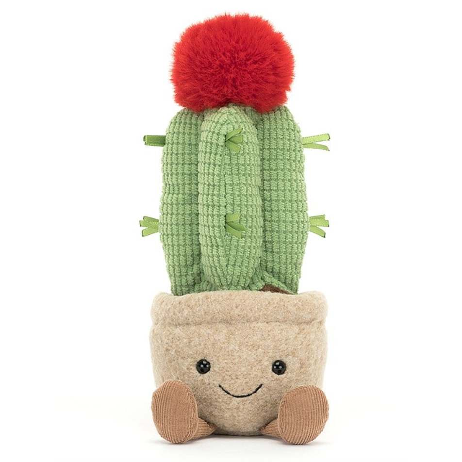 JellyCat Amuseable Moon Cactus-JellyCat-Little Giant Kidz