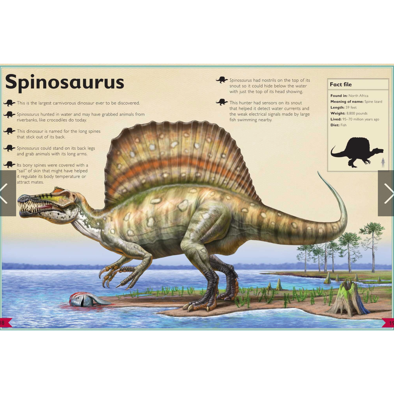 Magnificent Book Of Dinosaurs-SIMON & SCHUSTER-Little Giant Kidz