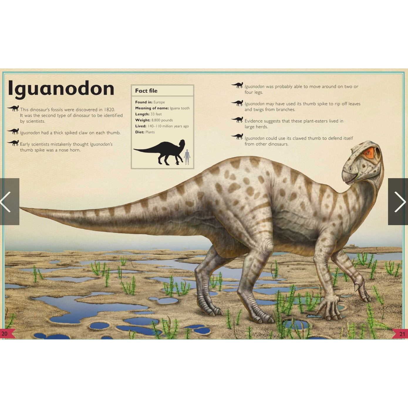 Magnificent Book Of Dinosaurs-SIMON & SCHUSTER-Little Giant Kidz