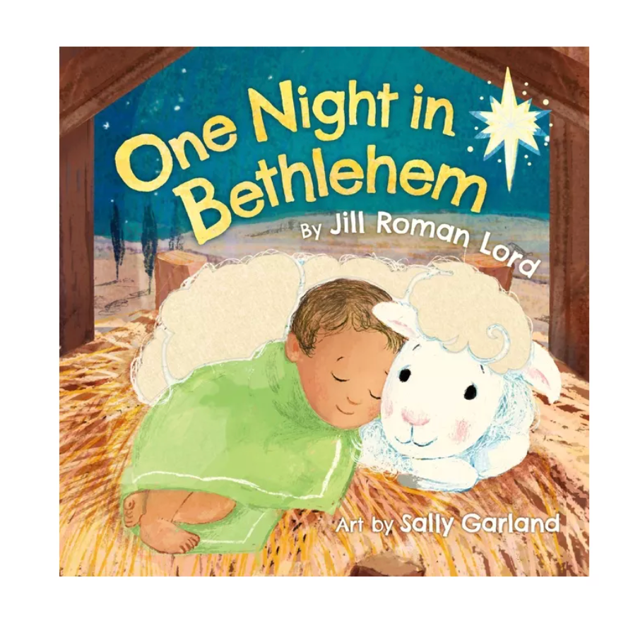One Night in Bethlehem - Board Book-HACHETTE BOOK GROUP USA-Little Giant Kidz