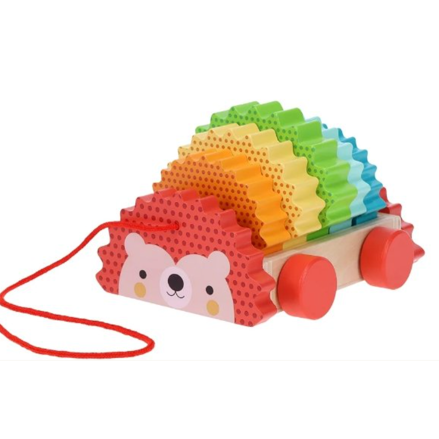Petit Collage Rainbow Hedgehog Wooden Pull Toy-Petit Collage-Little Giant Kidz