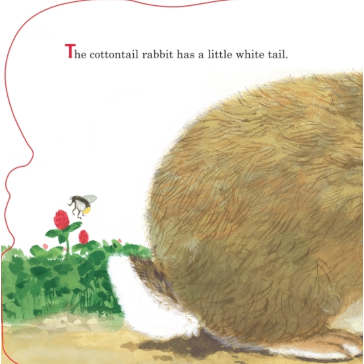 Richard Scarry's Bunnies-PENGUIN RANDOM HOUSE-Little Giant Kidz