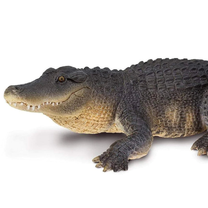 Safari Ltd. Alligator Toy-SAFARI LTD-Little Giant Kidz