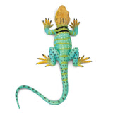 Safari Ltd. Collared Lizard Toy-SAFARI LTD-Little Giant Kidz