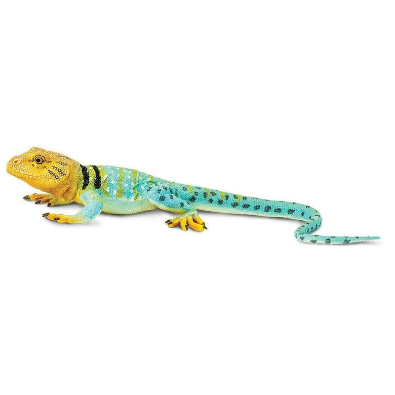 Safari Ltd. Collared Lizard Toy-SAFARI LTD-Little Giant Kidz