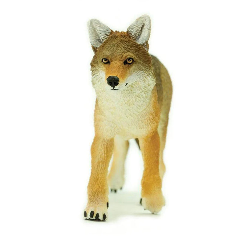 Safari Ltd. Coyote Toy-SAFARI LTD-Little Giant Kidz