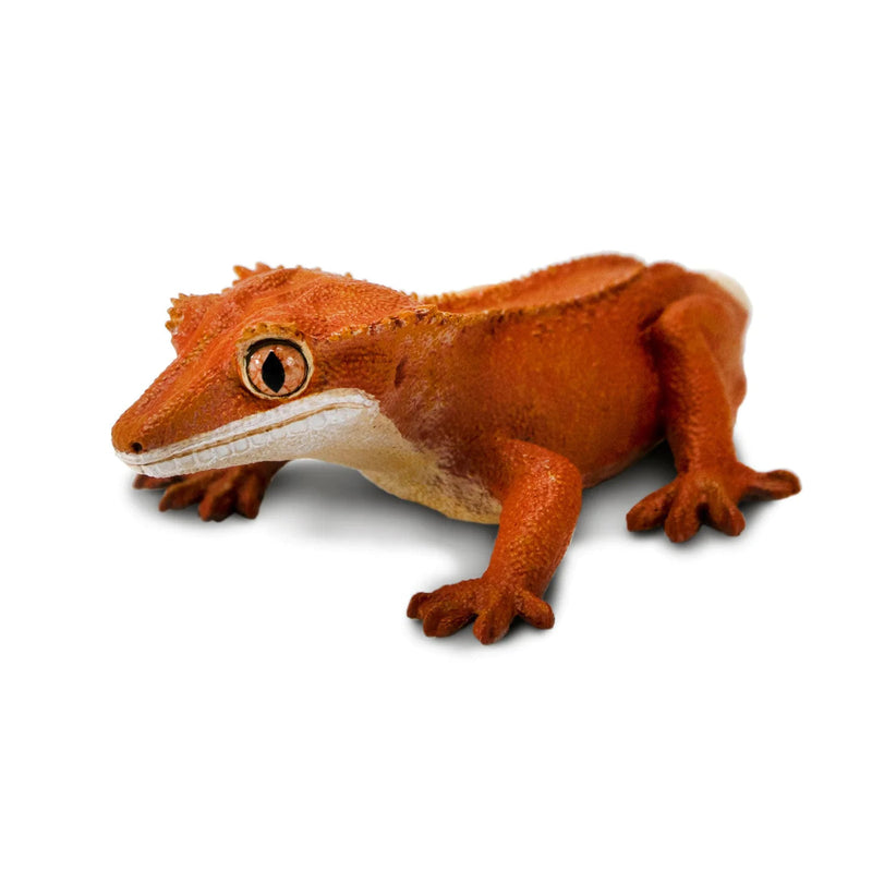 Safari Ltd. Crested Gecko Toy-SAFARI LTD-Little Giant Kidz