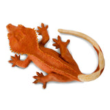 Safari Ltd. Crested Gecko Toy-SAFARI LTD-Little Giant Kidz