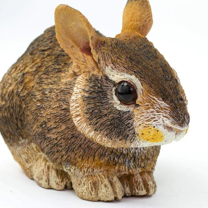 Safari Ltd. Eastern Cottontail Rabbit Baby Toy-SAFARI LTD-Little Giant Kidz