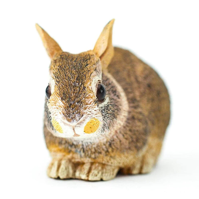 Safari Ltd. Eastern Cottontail Rabbit Baby Toy-SAFARI LTD-Little Giant Kidz