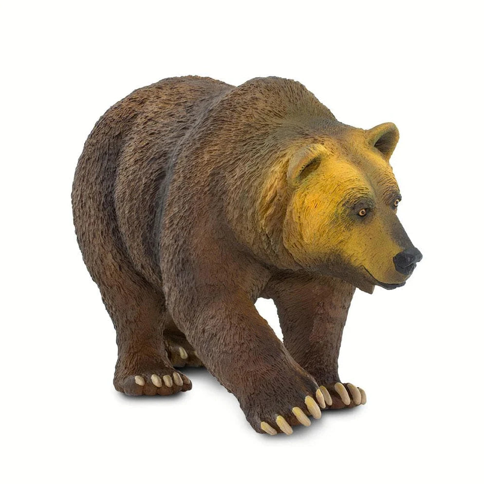 Safari Ltd. Grizzly Bear Toy-SAFARI LTD-Little Giant Kidz