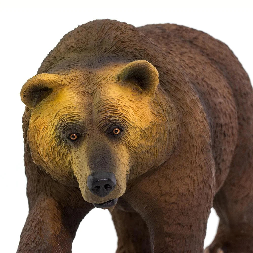 Safari Ltd. Grizzly Bear Toy-SAFARI LTD-Little Giant Kidz