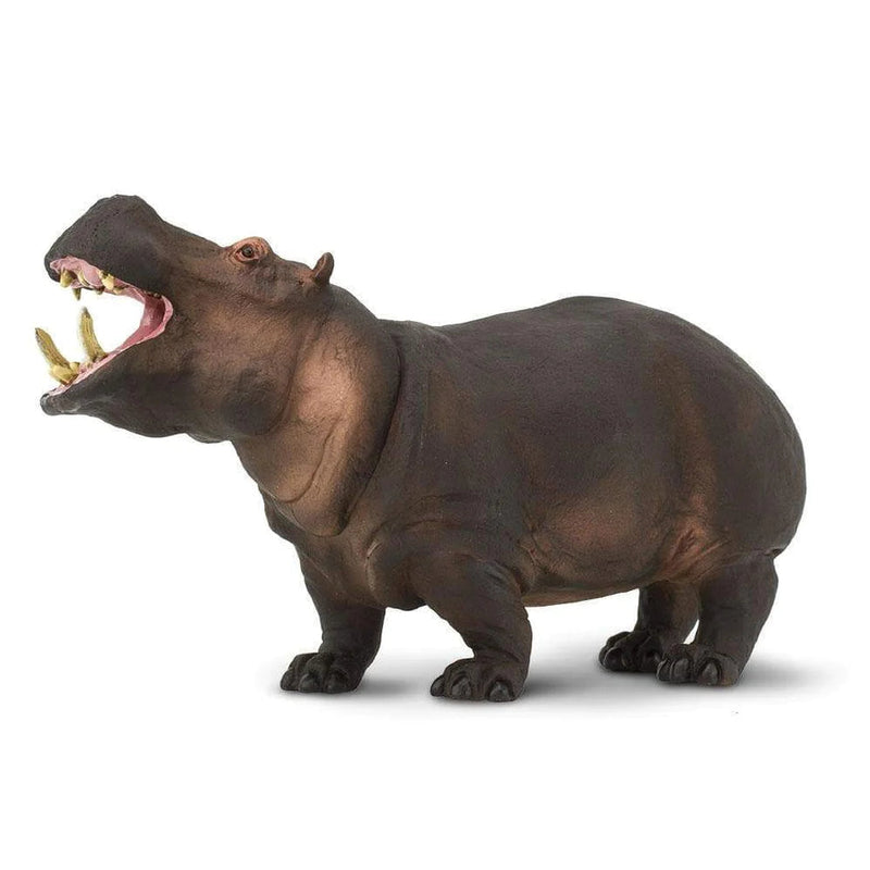 Safari Ltd. Hippopotamus Toy-SAFARI LTD-Little Giant Kidz