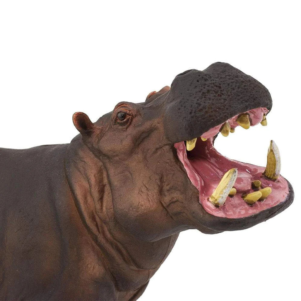 Safari Ltd. Hippopotamus Toy-SAFARI LTD-Little Giant Kidz
