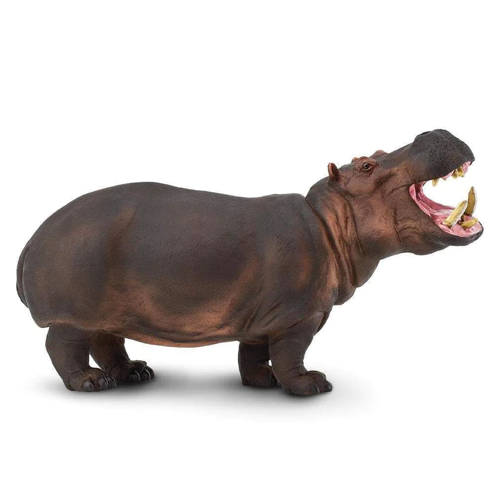 Safari Ltd. Hippopotamus Toy-SAFARI LTD-Little Giant Kidz