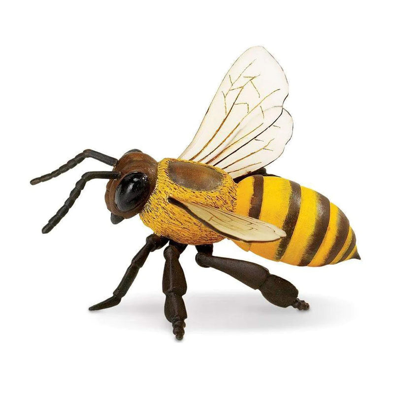 Safari Ltd. Honey Bee Toy-SAFARI LTD-Little Giant Kidz