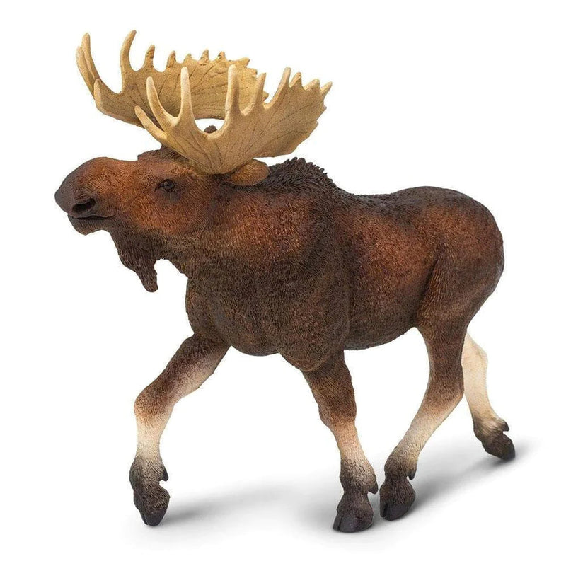 Safari Ltd. Moose Toy-SAFARI LTD-Little Giant Kidz